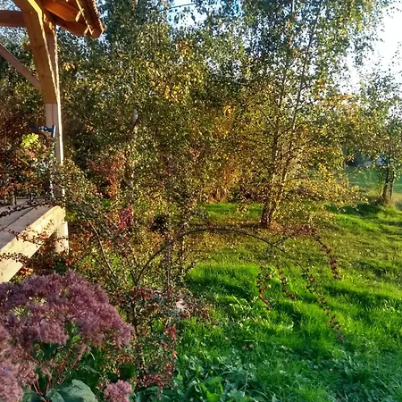 Lyxtält Entspannung Im Zirkuswagen: Aussergewoehnliche Und Liebevoll Eingerichtete Glamping-unterkunft Im Gruenen